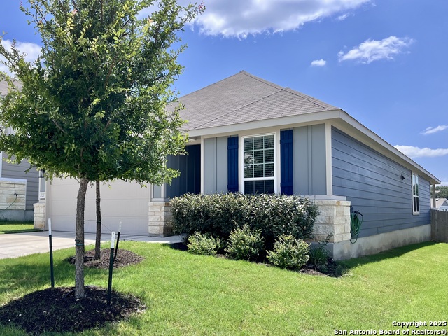 27217 Salt, San Antonio, Texas image 2