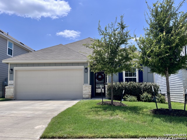 27217 Salt, San Antonio, Texas image 3