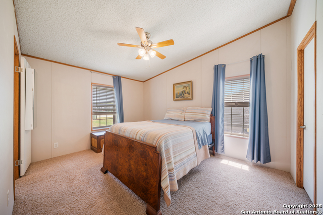 11738 Haven Estates, Adkins, Texas image 27