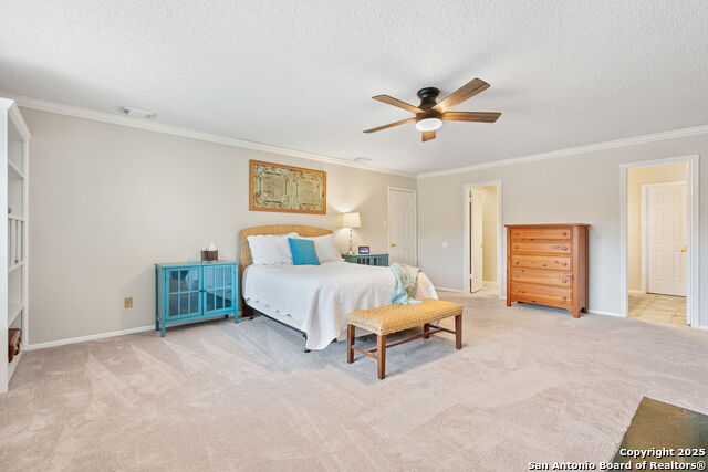 4735 Irish Oak, San Antonio, Texas image 21