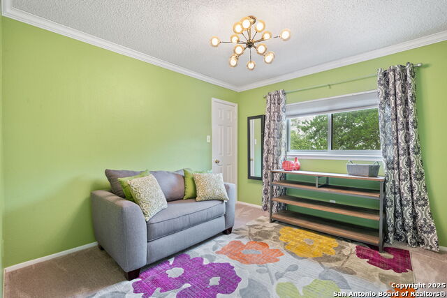 4735 Irish Oak, San Antonio, Texas image 25