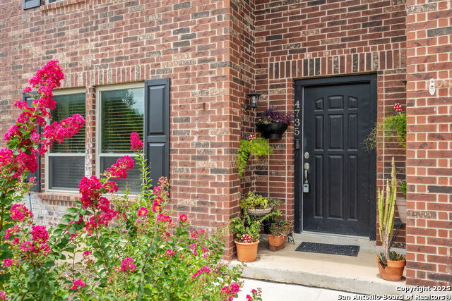 4735 Irish Oak, San Antonio, Texas image 3