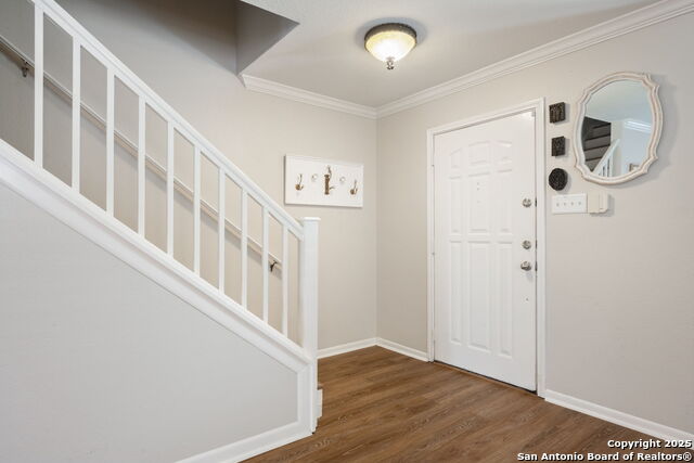 4735 Irish Oak, San Antonio, Texas image 4