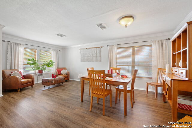 4735 Irish Oak, San Antonio, Texas image 7