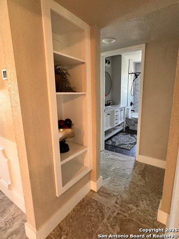 101 Dandelion Ln, Castle Hills, Texas image 16