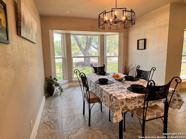 101 Dandelion Ln, Castle Hills, Texas image 21
