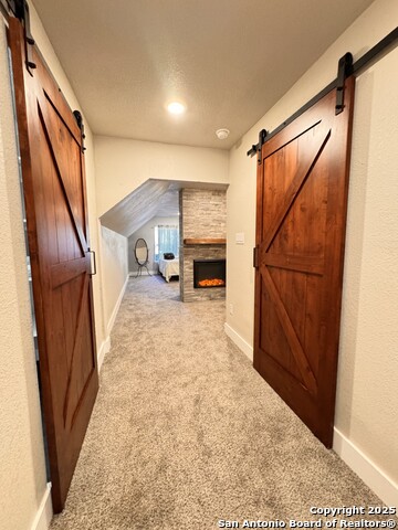 101 Dandelion Ln, Castle Hills, Texas image 25