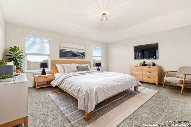 7010 Aphrodite Mist, San Antonio, Texas image 16