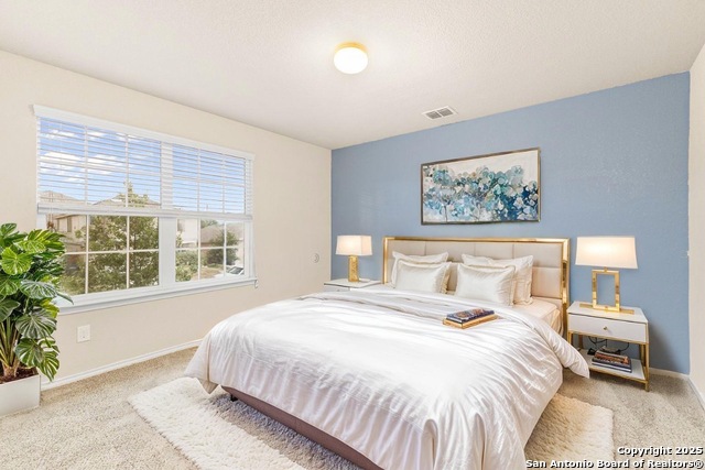 7010 Aphrodite Mist, San Antonio, Texas image 29