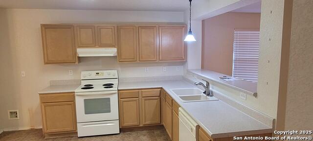 310 Agency Oaks, San Antonio, Texas image 5