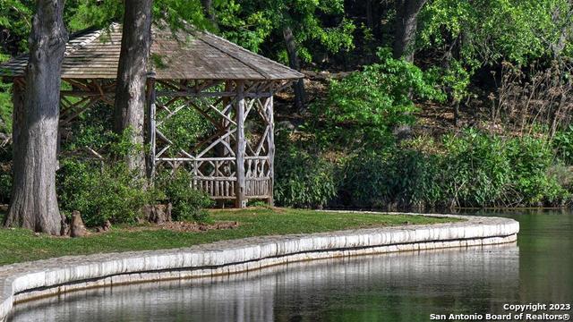 2228 Sur Avenue, New Braunfels, Texas image 16