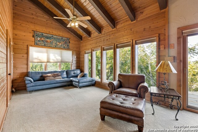 556 Cliff View Loop, Harper, Texas image 32