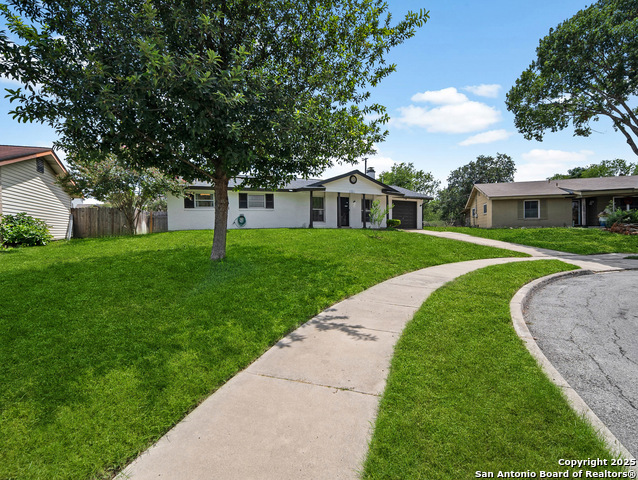 6234 Fir Valley, San Antonio, Texas image 1