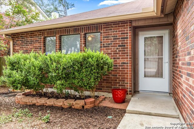 4822 Limestone Well, San Antonio, Texas image 2