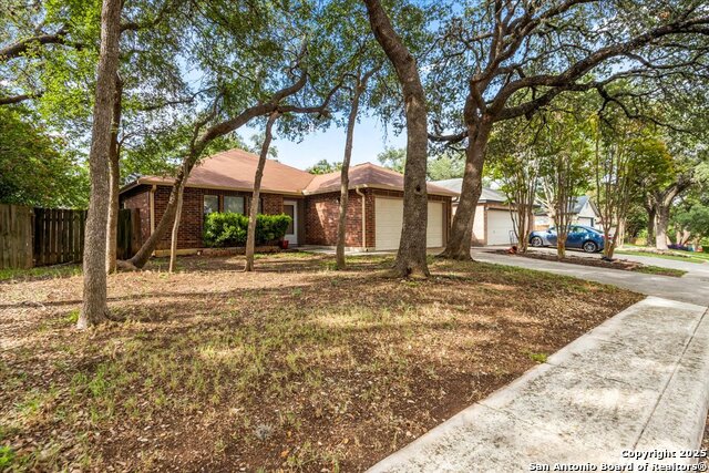 4822 Limestone Well, San Antonio, Texas image 25