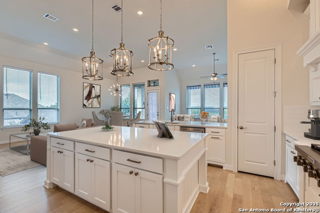 28607 Bull Gate, Boerne, Texas image 11