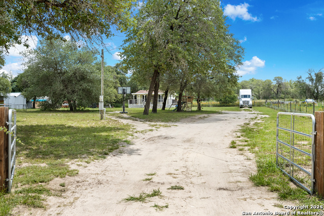 23123 Hickory Pass, San Antonio, Texas image 2