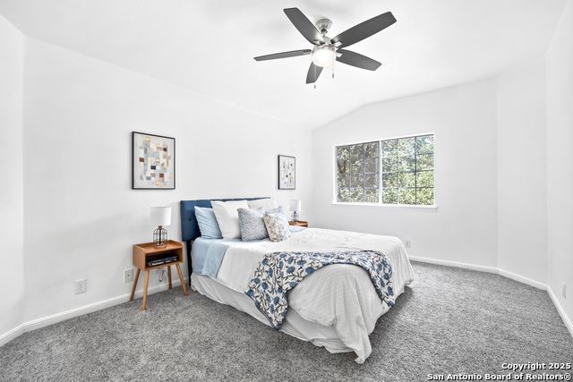 16023 Dominic Pl, San Antonio, Texas image 18