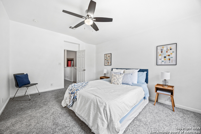 16023 Dominic Pl, San Antonio, Texas image 19