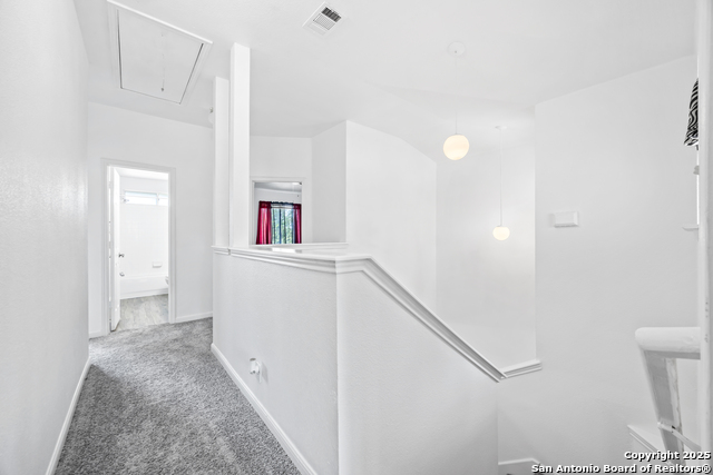 16023 Dominic Pl, San Antonio, Texas image 24