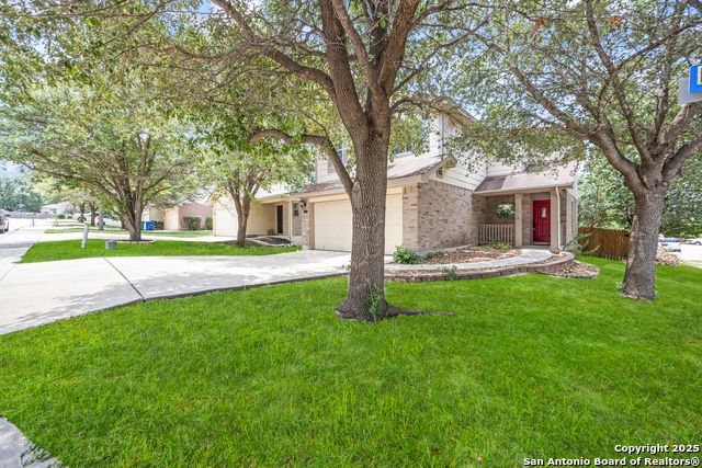 16023 Dominic Pl, San Antonio, Texas image 38