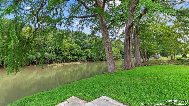 190 Oak View, New Braunfels, Texas image 29