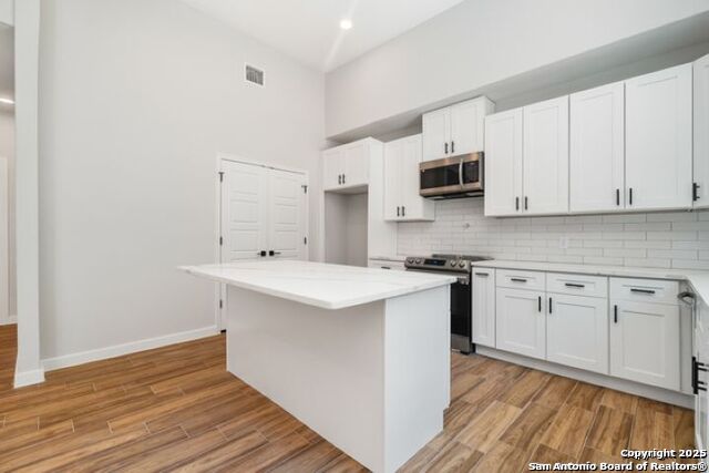 1381 Overbrook, Spring Branch, Texas image 4