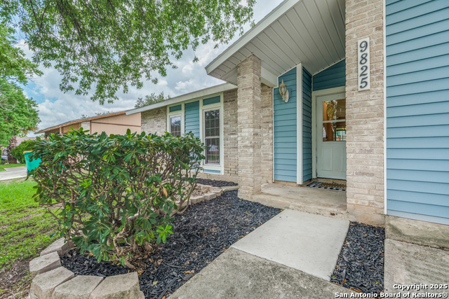 9825 Meadow Hill, Converse, Texas image 3