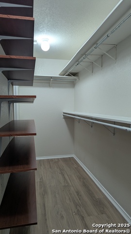 10731 Butterfly Flat, San Antonio, Texas image 10