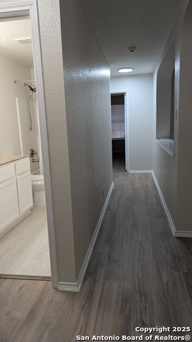 10731 Butterfly Flat, San Antonio, Texas image 11