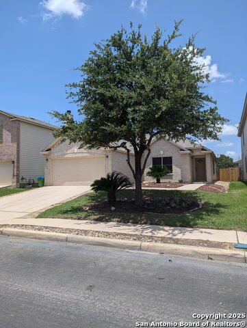 10731 Butterfly Flat, San Antonio, Texas image 2