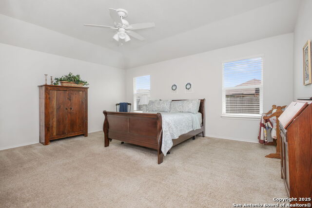29616 Winter Copper, Bulverde, Texas image 18