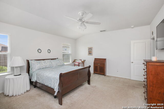 29616 Winter Copper, Bulverde, Texas image 19