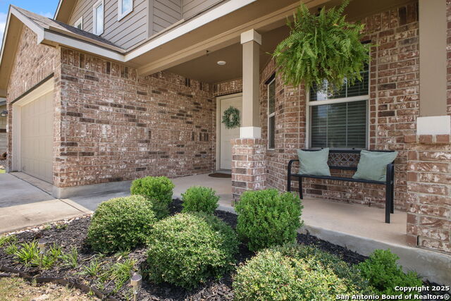 29616 Winter Copper, Bulverde, Texas image 3