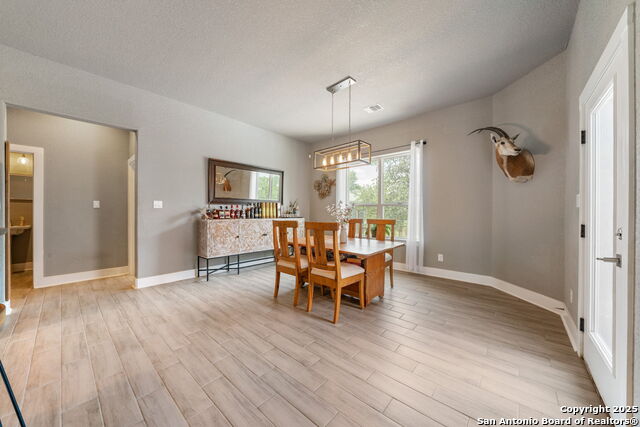 315 Log Cabin, Poteet, Texas image 19