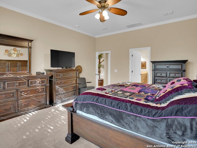 25603 Singing Rain, San Antonio, Texas image 17
