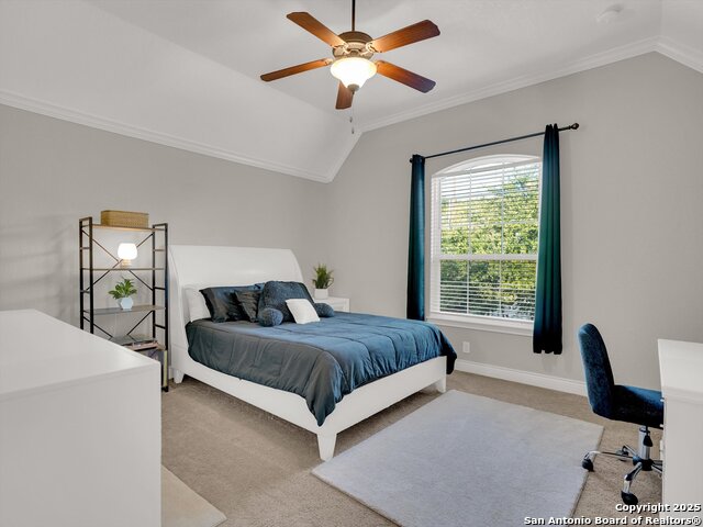 25603 Singing Rain, San Antonio, Texas image 29
