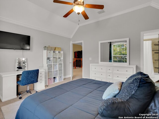 25603 Singing Rain, San Antonio, Texas image 30