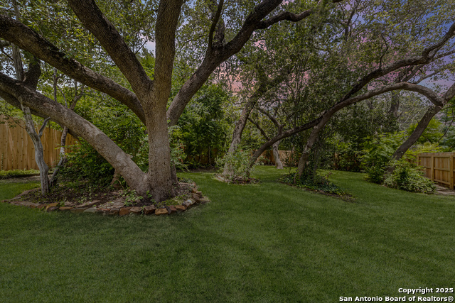 835 Fabulous, San Antonio, Texas image 6
