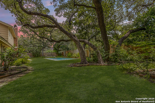 835 Fabulous, San Antonio, Texas image 7