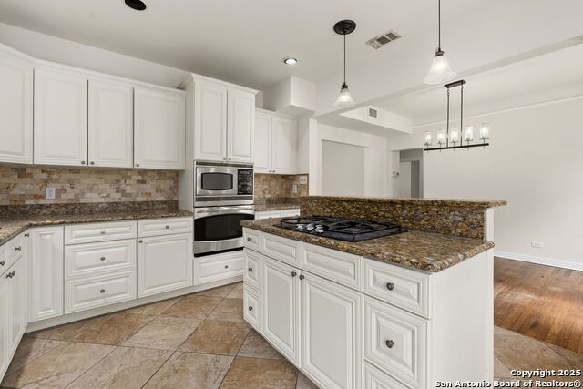 300 E Lullwood, San Antonio, Texas image 11