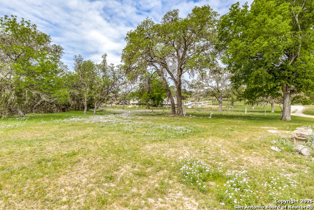 143 Platten Creek, Boerne, Texas image 27
