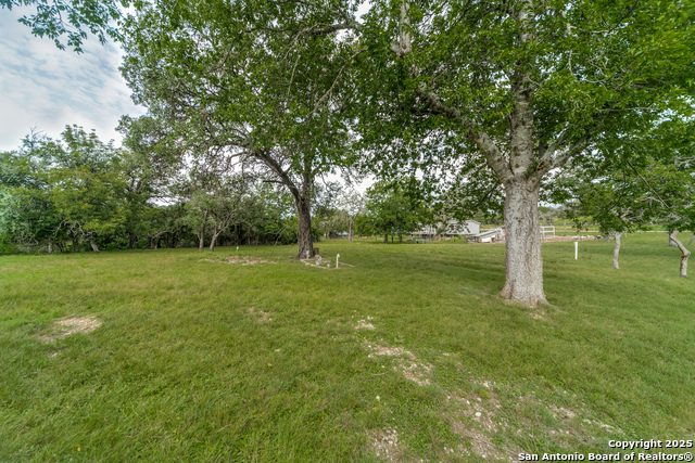 143 Platten Creek, Boerne, Texas image 7