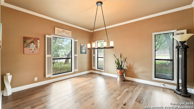 14803 Blue Max, San Antonio, Texas image 21
