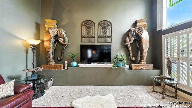14803 Blue Max, San Antonio, Texas image 22