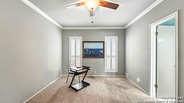 14803 Blue Max, San Antonio, Texas image 34