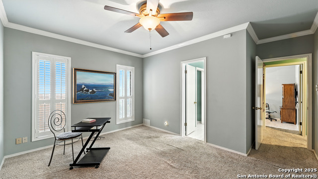 14803 Blue Max, San Antonio, Texas image 35