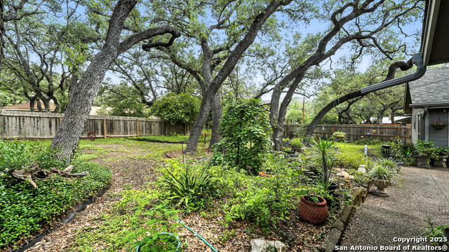 14803 Blue Max, San Antonio, Texas image 44