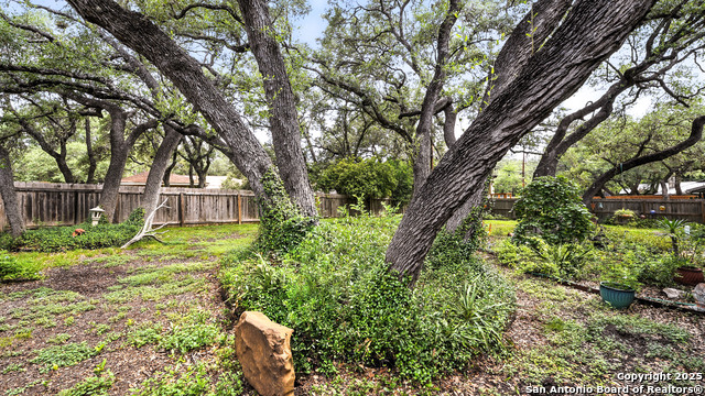 14803 Blue Max, San Antonio, Texas image 45