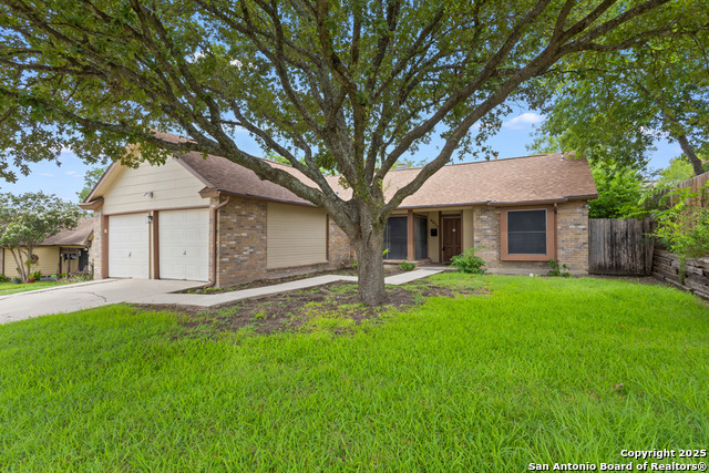 6827 Raintree Frst, San Antonio, Texas image 2